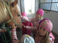 děti z MŠ u koní