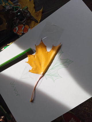 ilustrační foto