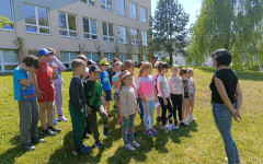 fotogalerie