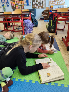 fotogalerie